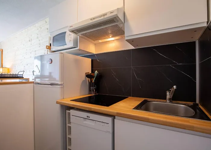 アパート 6 Pers, Pieds Des Pistes Avec Navette, Parking Gratuit - Fr-1-695-35 Germ